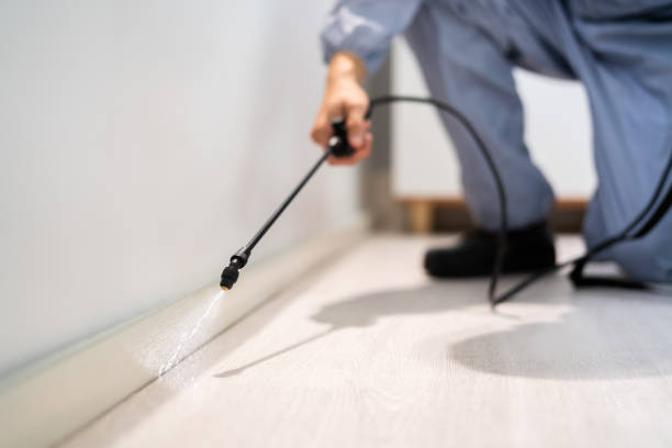Licensed Mosquito Control service in Burlington, VT - Show Me Pest Control