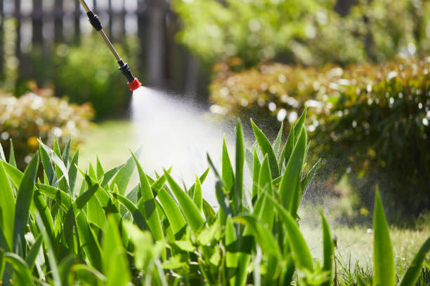 24/7 Emergency Mosquito Control experts in Burlington, VT