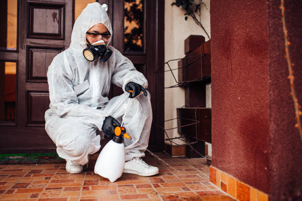 Reliable Mosquito Control contractor in Burlington, VT by Show Me Pest Control