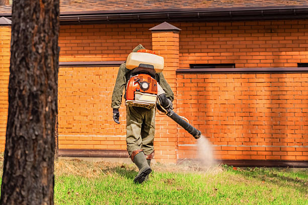 Top rated local Mosquito Control specialists in Burlington, VT